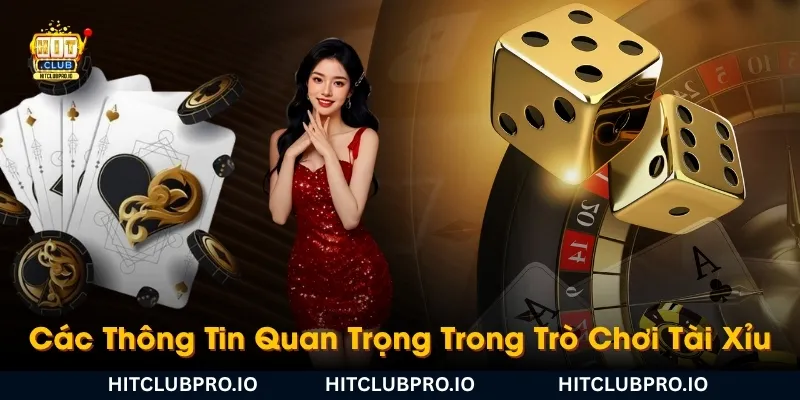 cac-thong-tin-quan-trong-trong-tro-choi-tai-xiu-can-biet