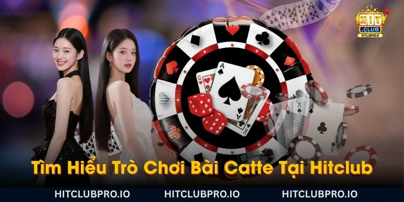 catte-hitclub-la-gi-tim-hieu-tro-choi-bai-catte-tren-hitclub