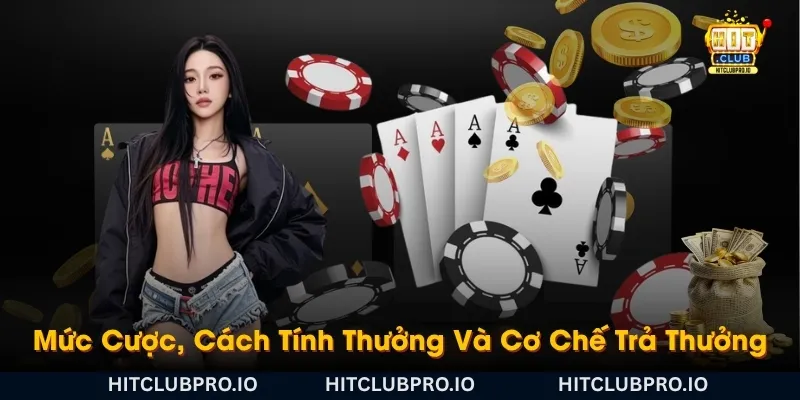 muc-cuoc-cach-tinh-thuong-va-co-che-tra-thuong-trong-catte-hitclub