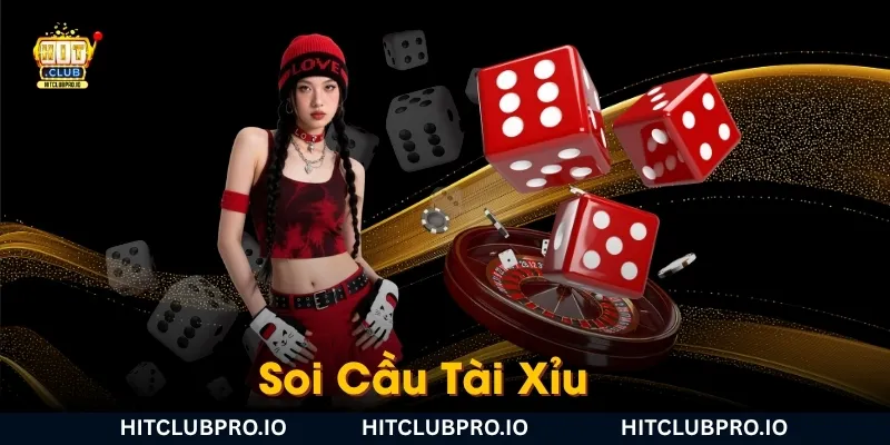 soi cau tai
